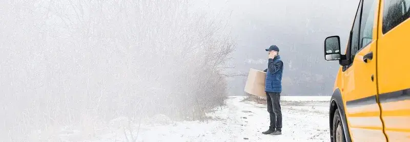 Simplify Shipping with AI-Driven Address Normalization